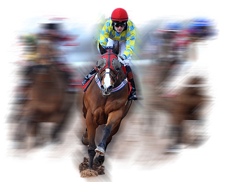 Cashbet_bet-on-horses